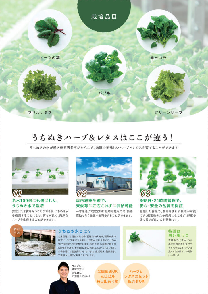 グリーン365さま 見回し